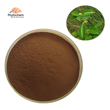 Pure gymnema sylvestre seeds reduce hyperglycemia